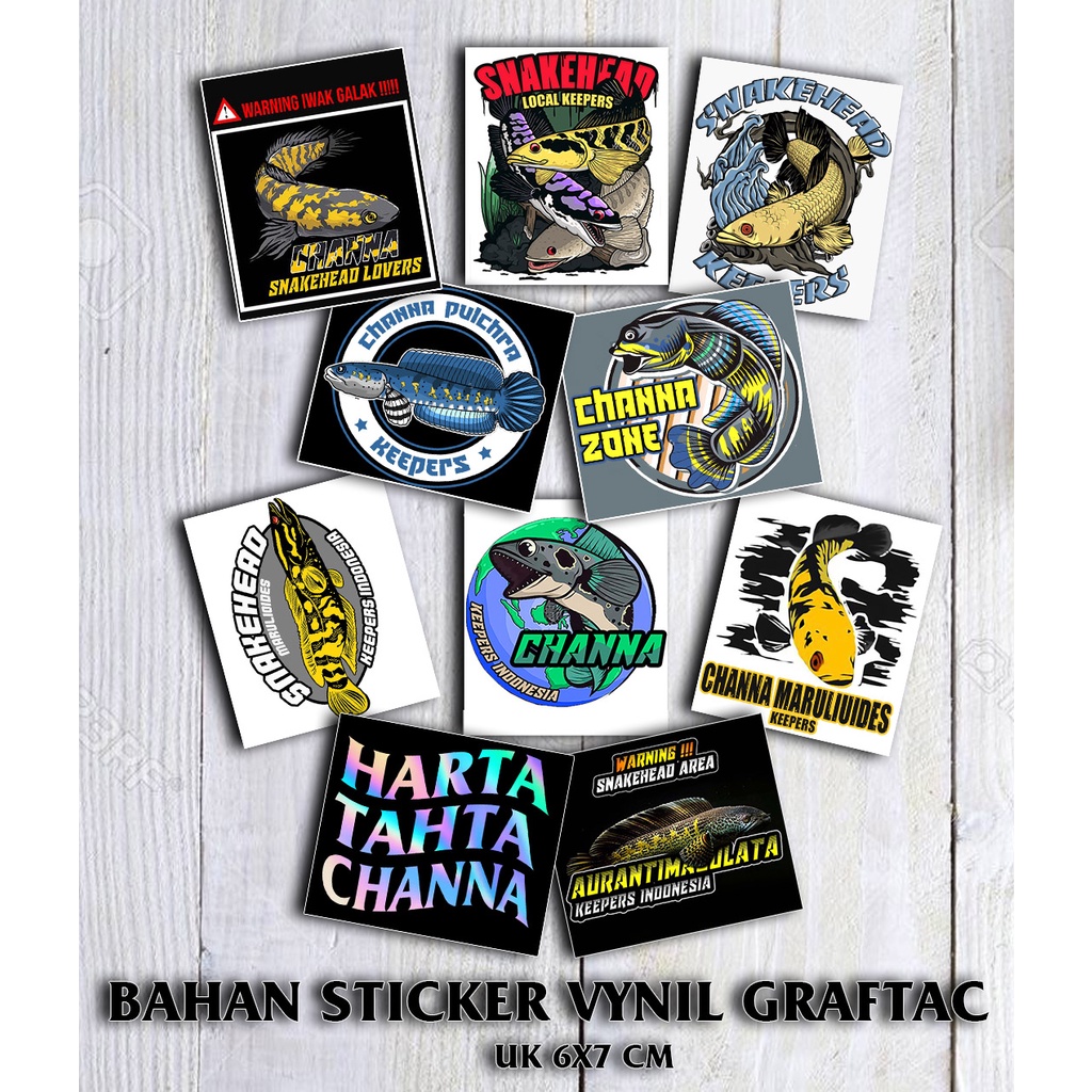 Channa Sticker Chana Fish Sticker Aquarium Fish Channa | Shopee Philippines