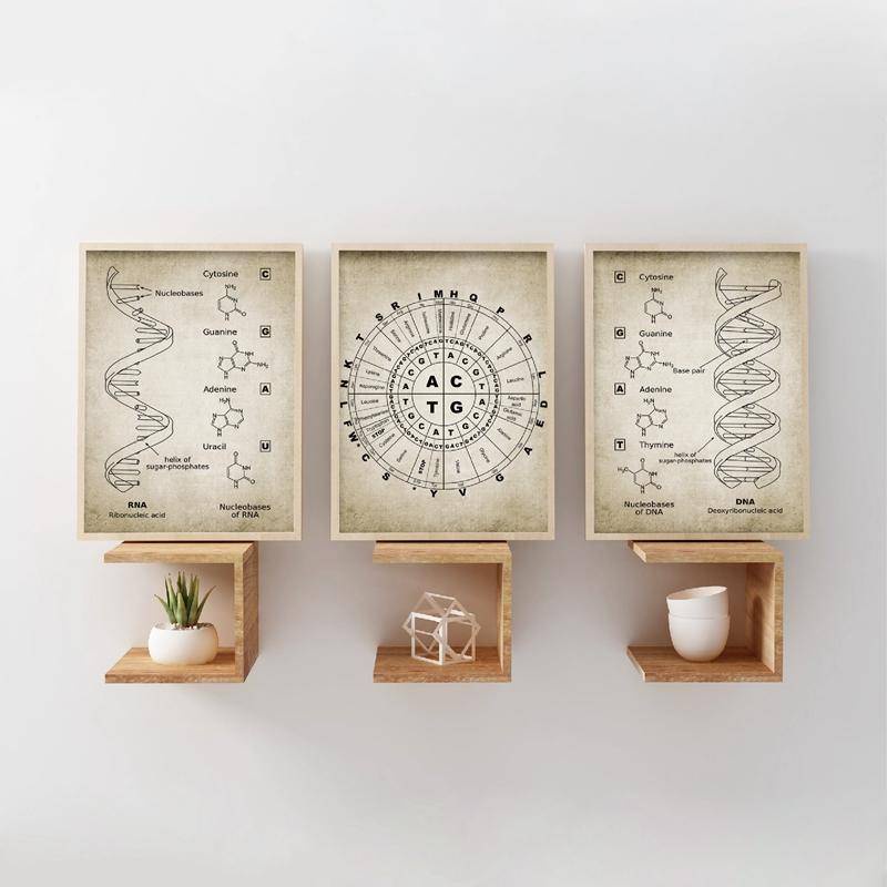 DNA and RNA Genetic Code Wall Art Canvas Painting Vintage Posters ...