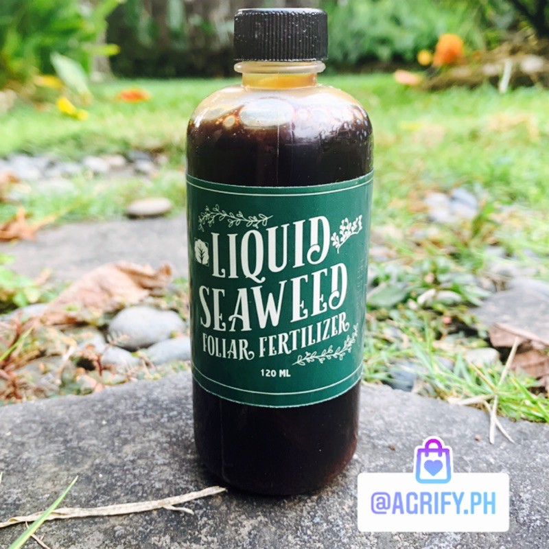 Liquid Seaweed Fertilizer 120ml Organic Shopee Philippines