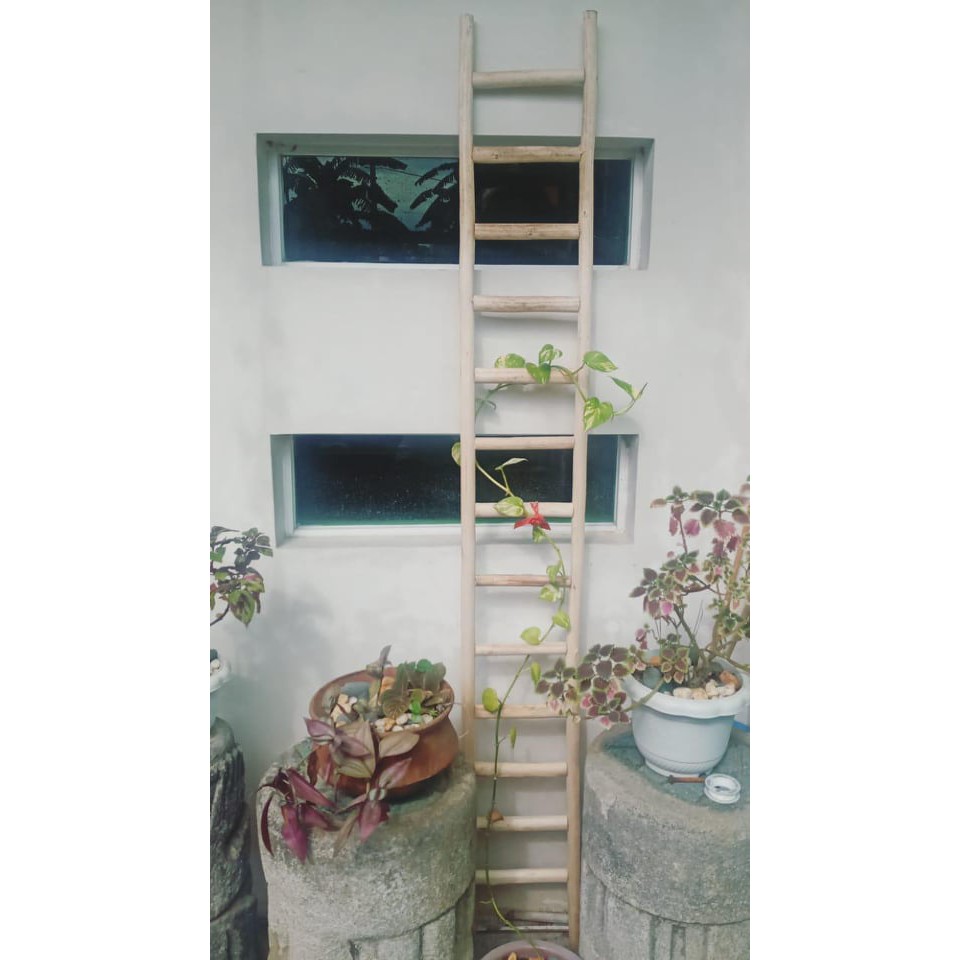 Native Plant Ladder 5 feet | Shopee Philippines