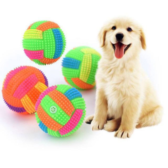 Best light best sale up dog ball