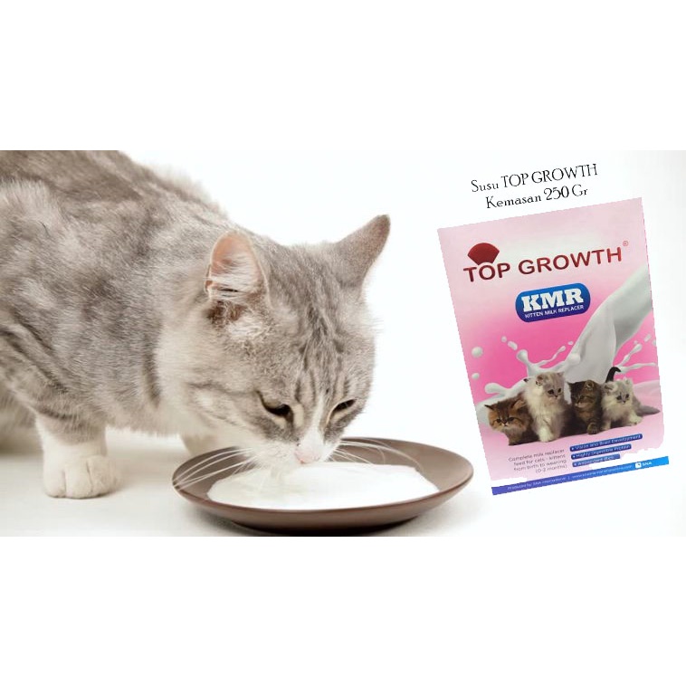 250gr Top Growth Milk Cat Milk Kitten Milk Kitten 250 gr Shopee