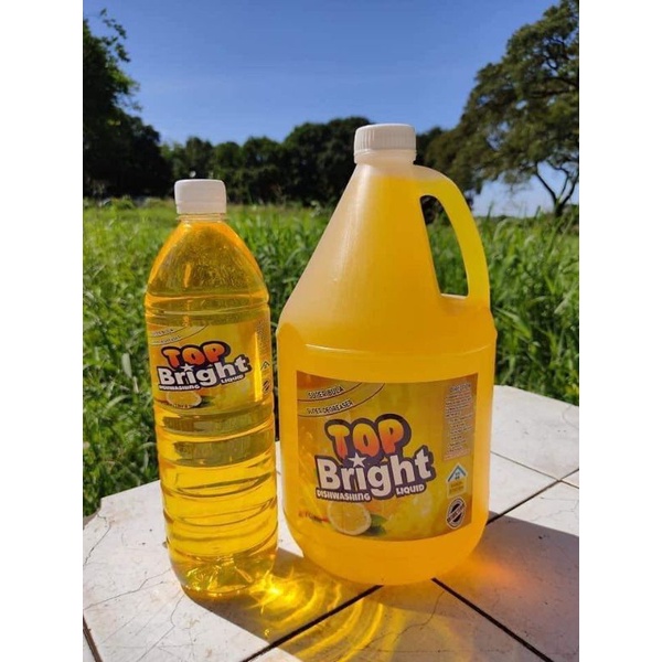 Top bright dishwashing liquid Shopee Philippines