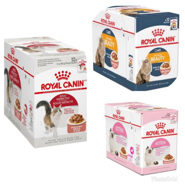 Royal Canin Wet Cat Food Per Box Shopee Philippines