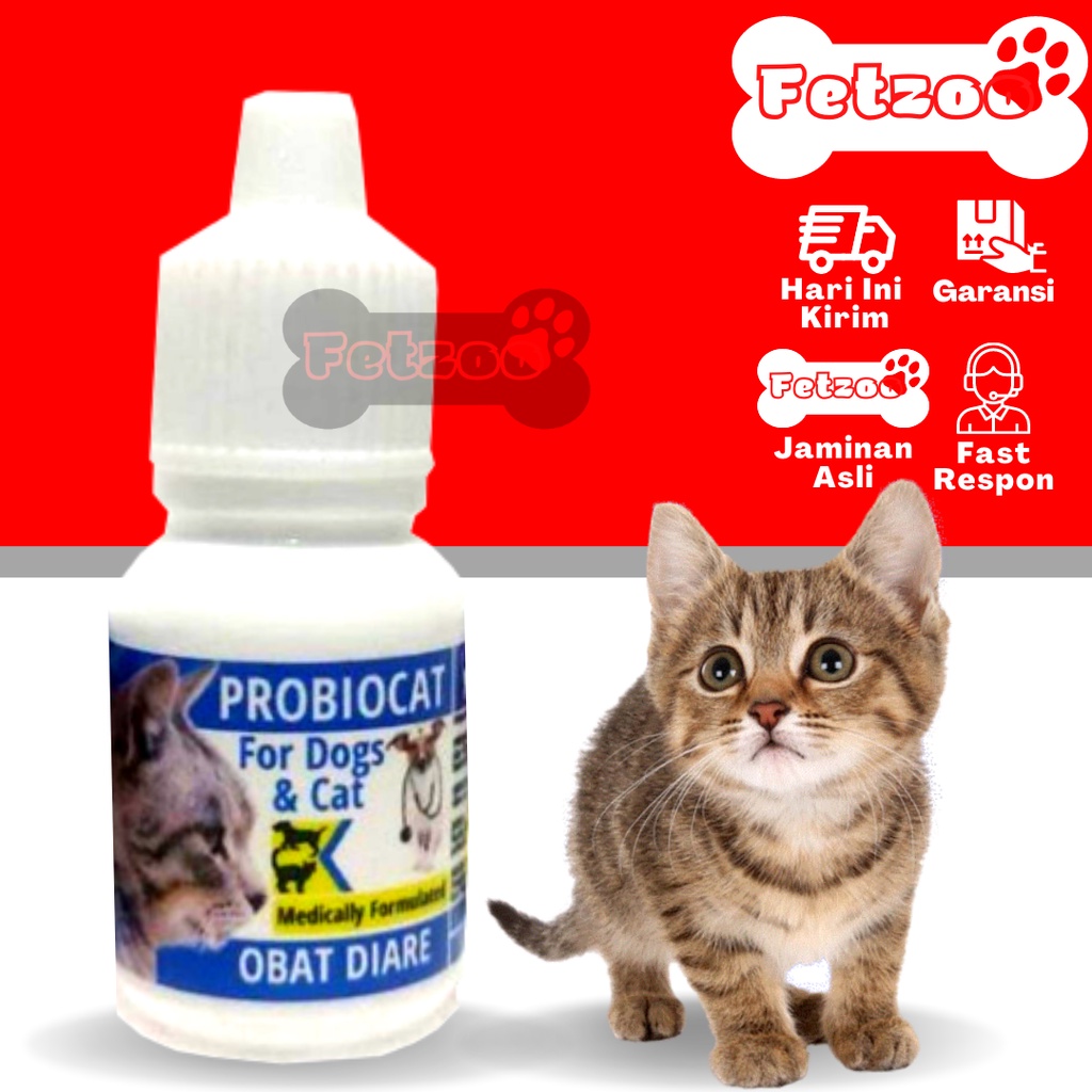 Dog Cat Diarrhea Medicine/Dog Cat Diarrhea Medicine PROBIOCAT Effective ...