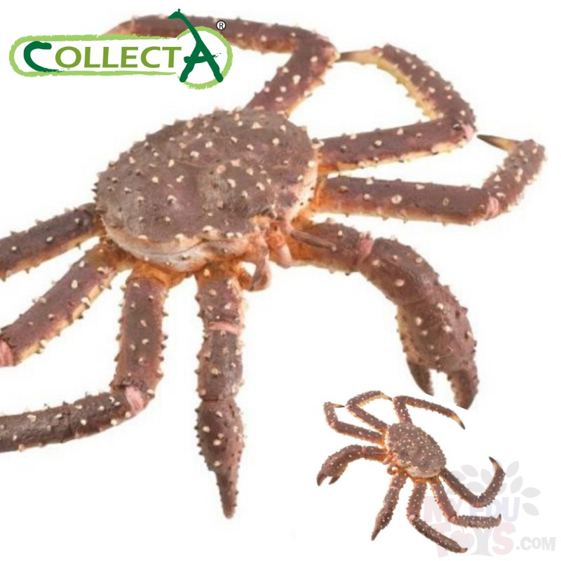 King Crab - CollectA 88851 Sea Life Ocean Animal Action Figure /Toy ...