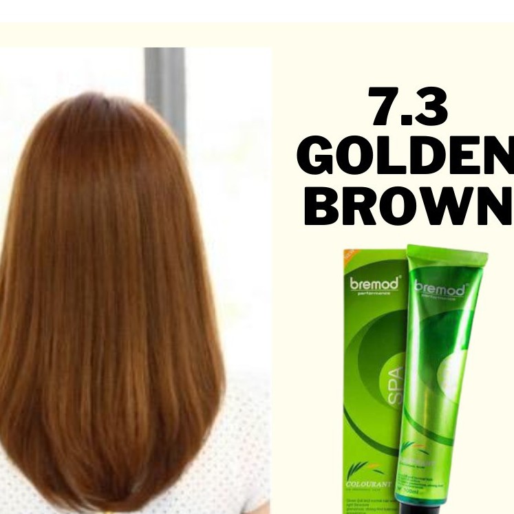 Golden Brown Bremod Hair Color Ml With Oxidizing Cream Ml Shopee Philippines