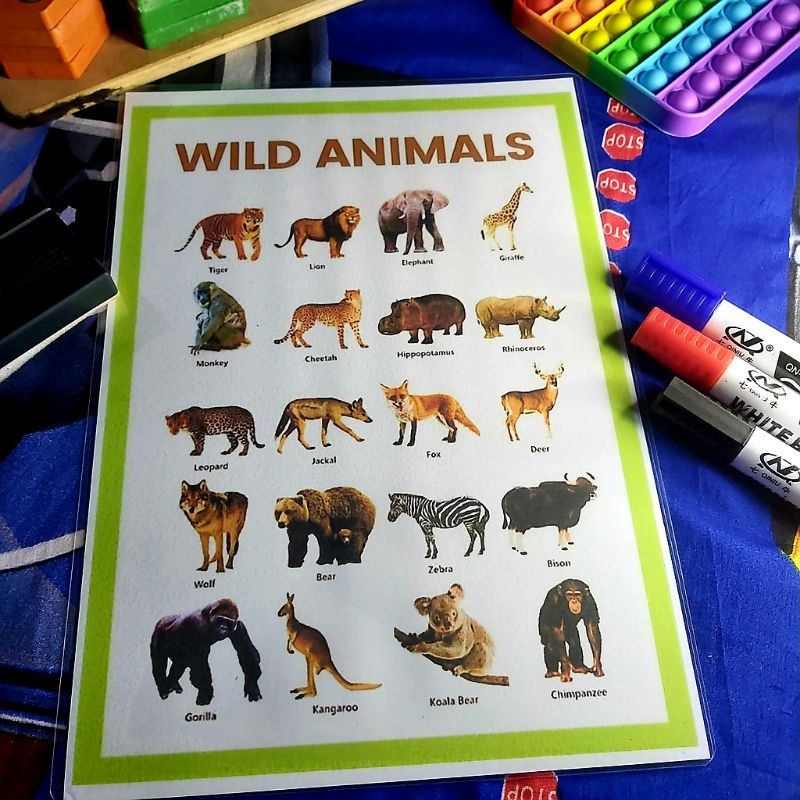 A4 WILD ANIMALS Laminated Educational Wall Chart for kids | Shopee ...
