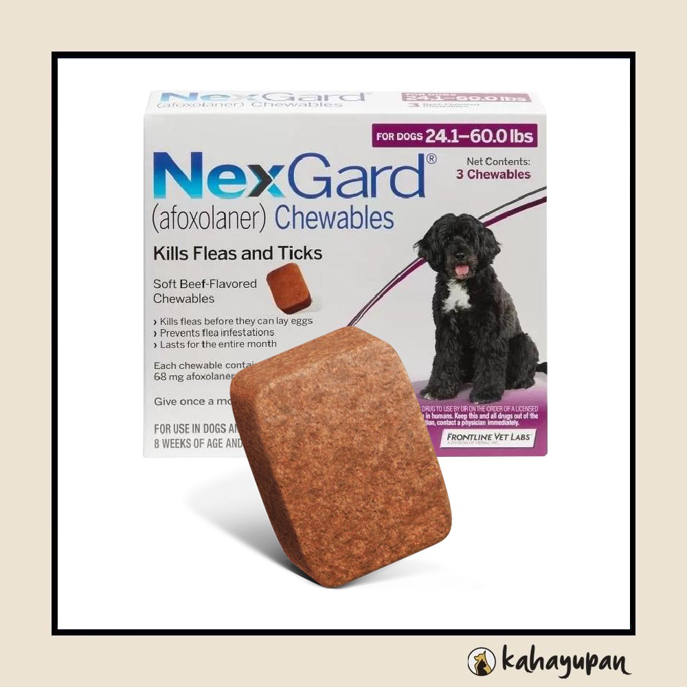 Nexgard store drug interactions