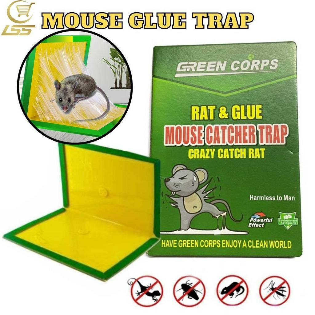 Mouse Rat Glue Trap Board Rodent Expert Rat Catcher Trap Glue Snare ...