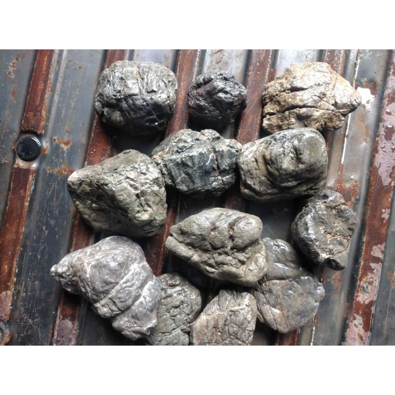 Turly Aquascape Stone per 1kg | Shopee Philippines