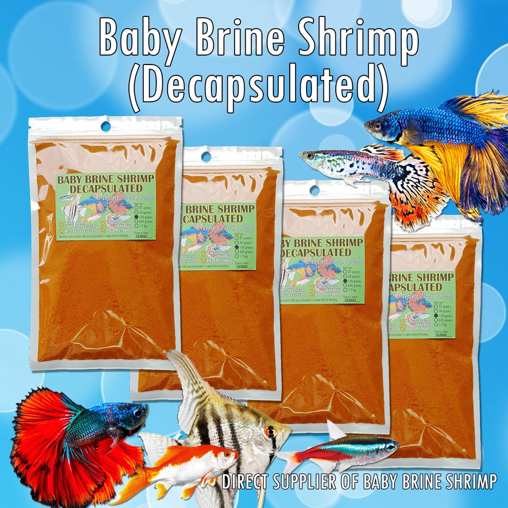 BABY BRINE SHRIMP DIRECT SUPPLIER Decapsulated 600 1.2kg fish food for small fish Greensect Shopee Philippines