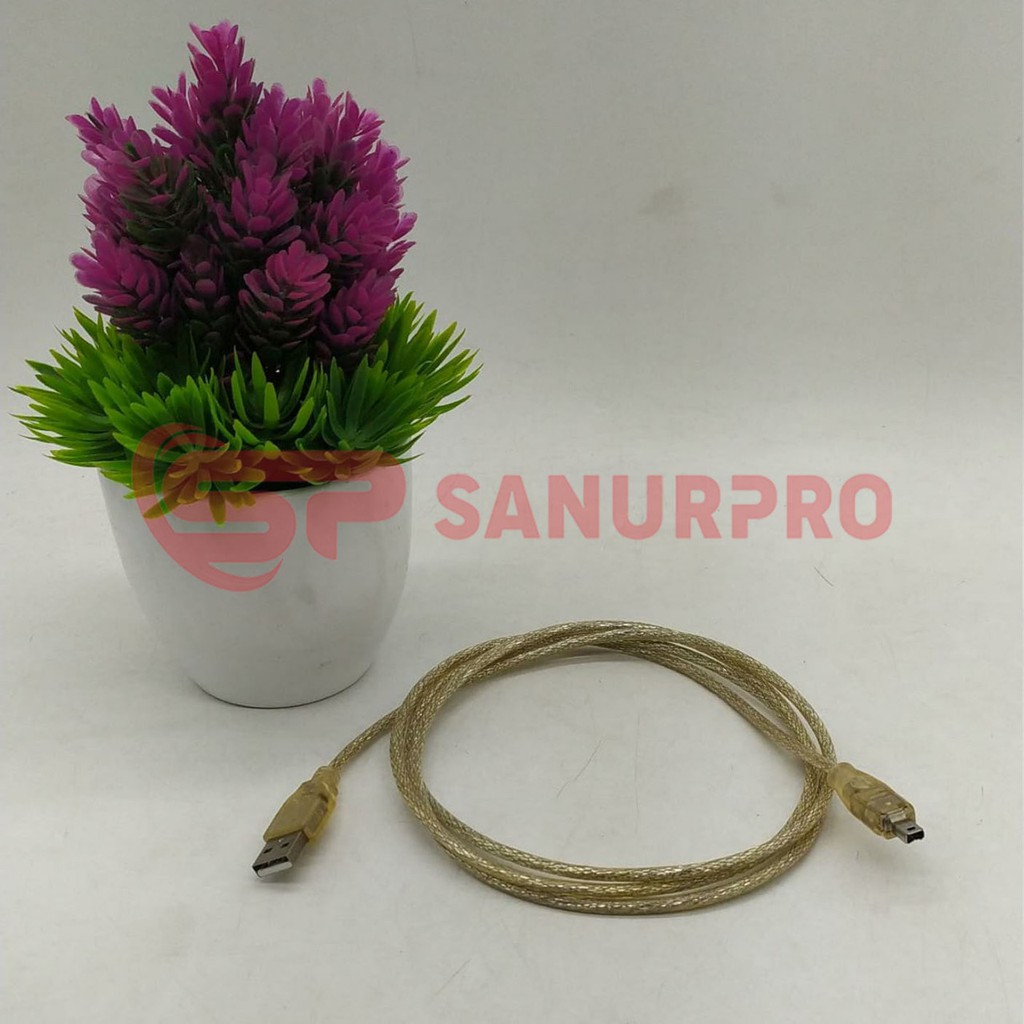 Usb 2.0 A MALE TO MINI 4-PIN MALE CABLE | Shopee Philippines