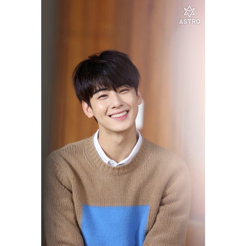 Astro Cha Eun Woo Wallpaper Mini Pillow 8 inches X 11 inches