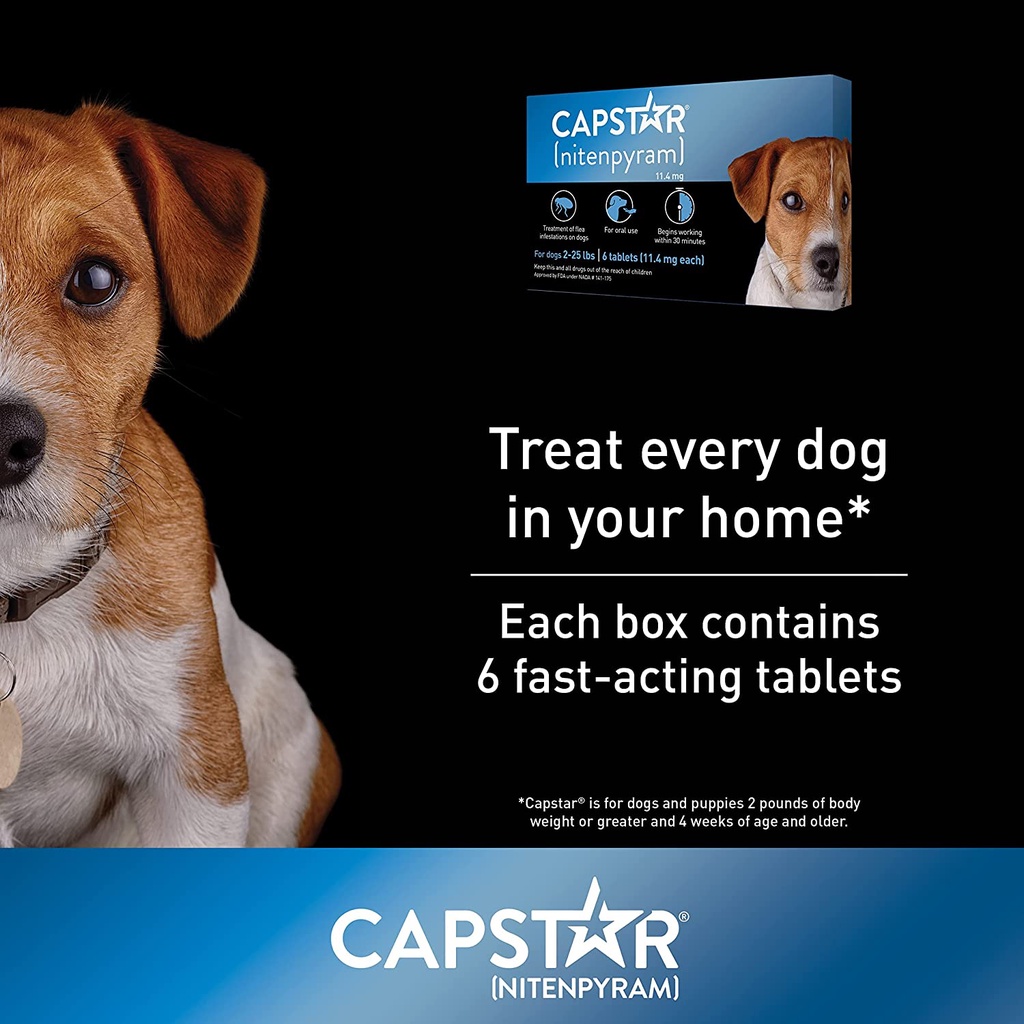 Capstar for dogs under 25 lbs hotsell