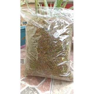 Shop moss green for Sale on Shopee Philippines