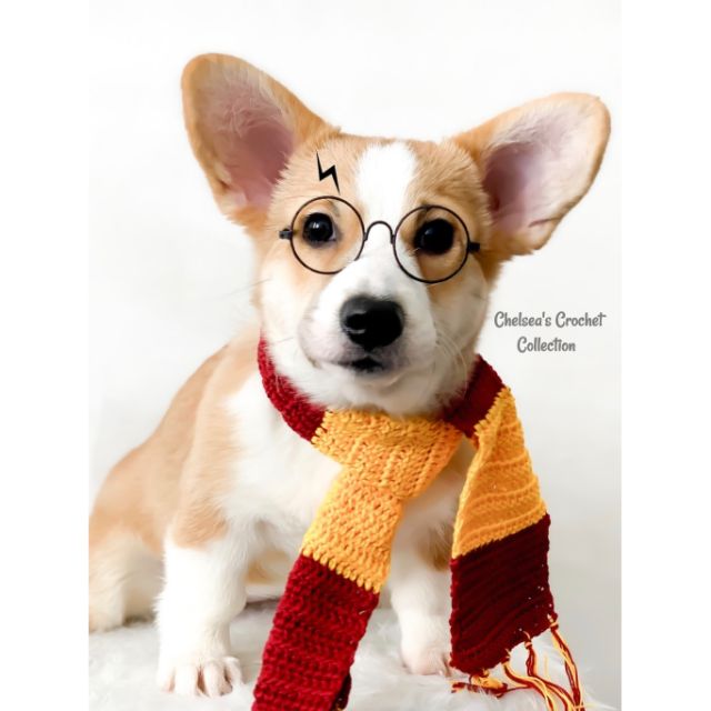 Harry potter dog scarf hotsell