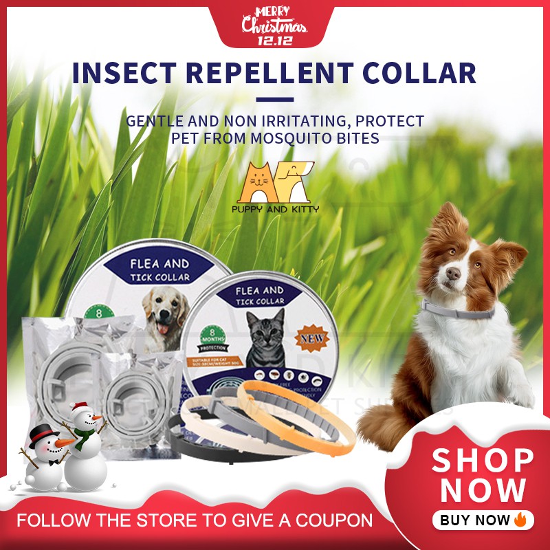 Pet Collar 8Month Lasting Protection Anti Insect Flea Tick Collar for ...