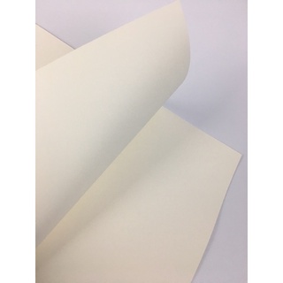 100 sheets Newsprint Paper Sketch Pad 50gsm A3 A4 pencil charcoal  (lemonspace)