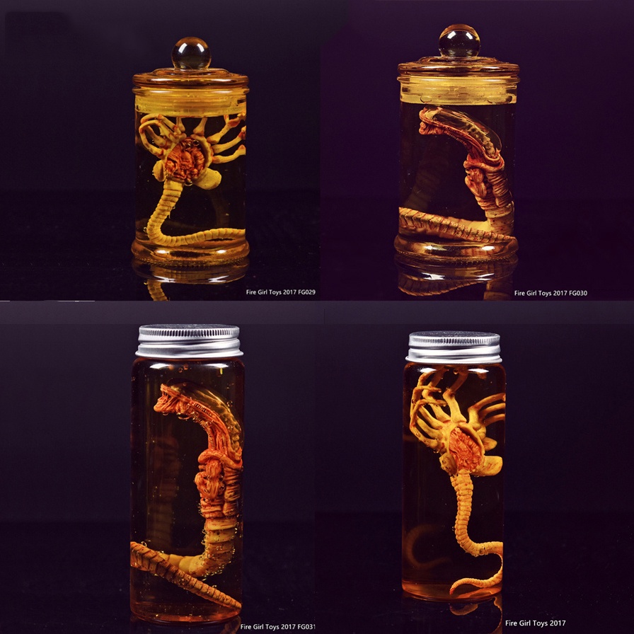 1/6 Scapredator Alien Predator Alien Larva Face Bug Culture Tank Set Facehugger Set Chestburster