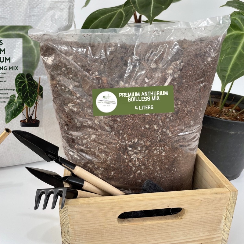Premium Anthurium Soilless Potting Mix | Shopee Philippines
