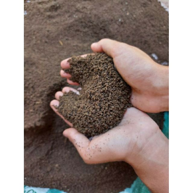 Pure Garden Soil No Fertilizer 1KG Shopee Philippines