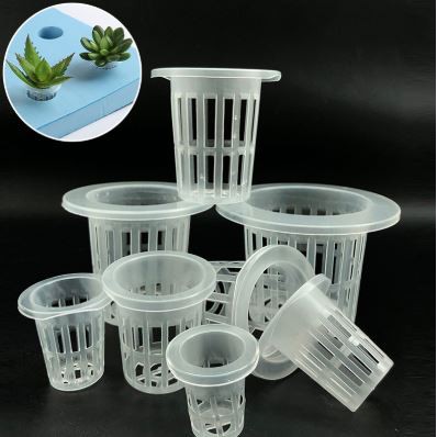 Hydroponics and Aquaponics Transparent Netpot (10pcs) | Shopee Philippines