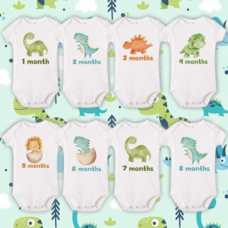 Dinosaur Baby Milestone Stickers Boy