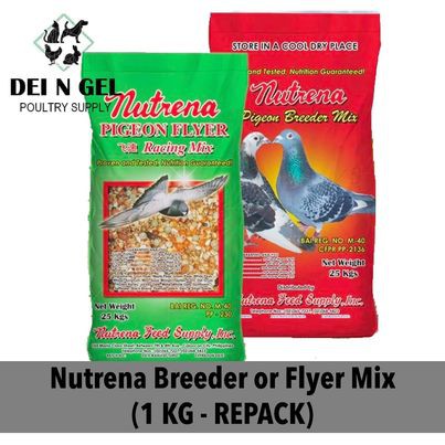 Nutrena Flyer Mix or Nutrena Breeder Mix - food for Pigeon (1 KG ...