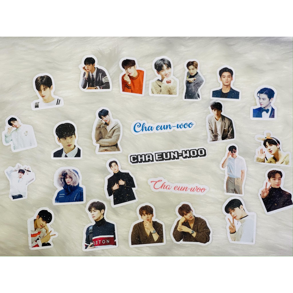 CHA EUN WOO STICKER PACK