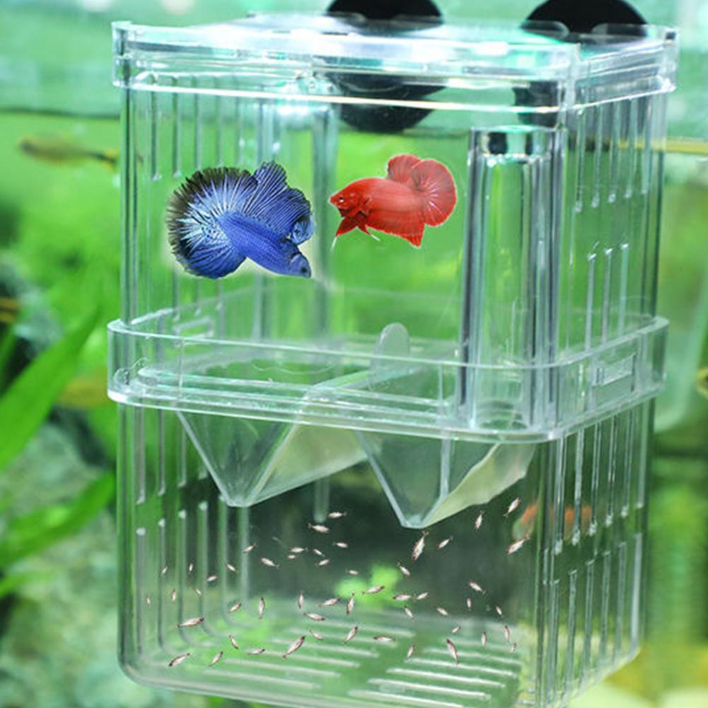 Floating fry clearance tank