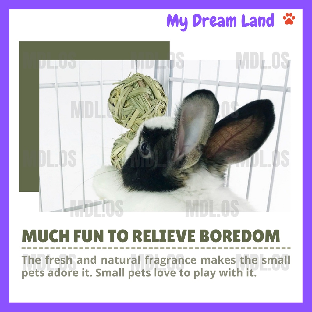 LOCAL DELIVERY-NATURAL THATCH BALL DRIED CORN HANGING STRING MOLAR TOY ...