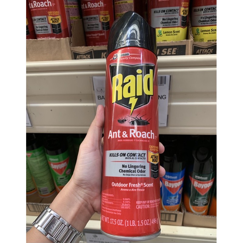 Raid Ant & Roach Outdoor Fresh 496g | Shopee Philippines