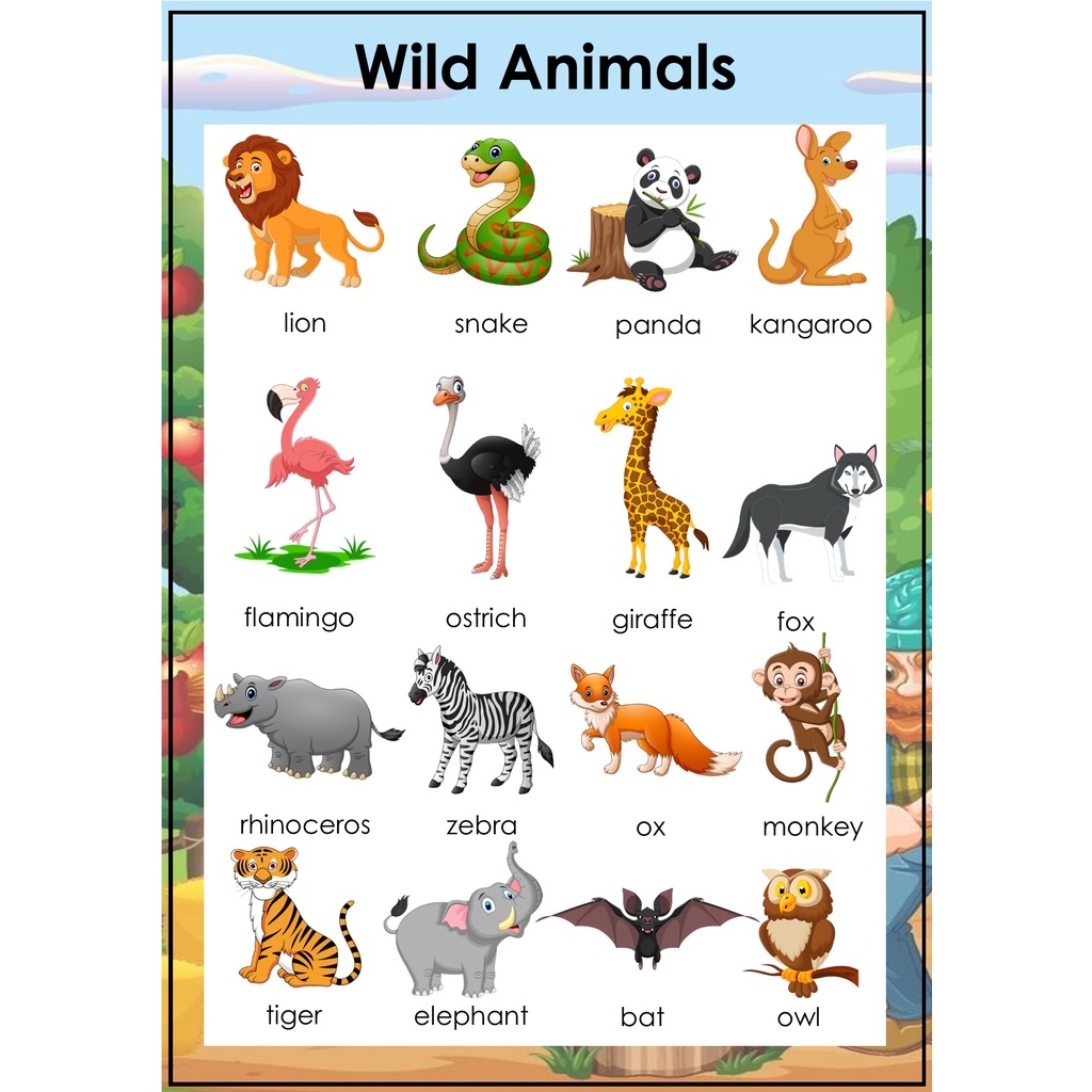 Laminated Wild Animals Educational Chart for Kids | Shopee Philippines