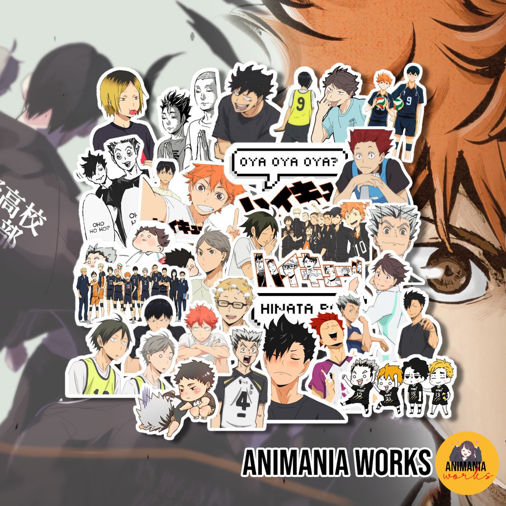 15PCS Set Pack / Anime Stickers / Haikyuu Sticker / Laminated Vinyl
