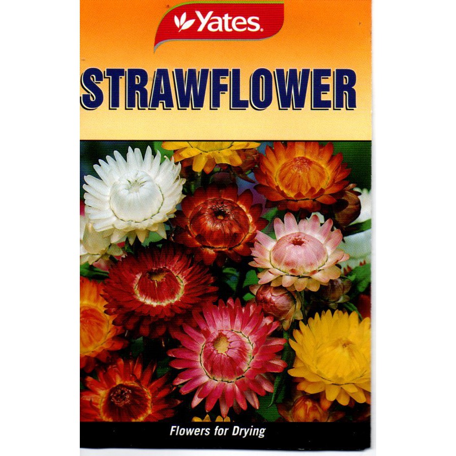 Strawflower Seeds by Yates Shopee Philippines