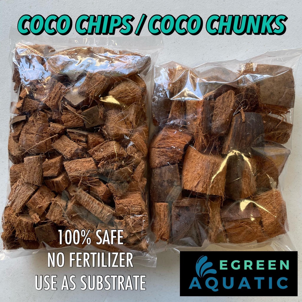 Coco Chips Chunks 200g Tarantula Bedding Substrate Spider Litter Shopee Philippines