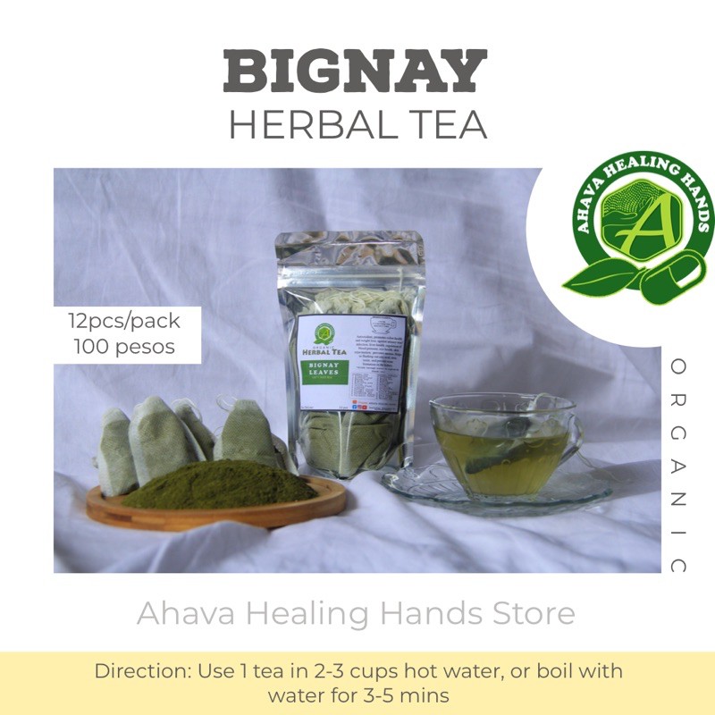 Bignay Tea (12pcs/pack) Organic - Natural Wellness ni Pastor Vitto ...