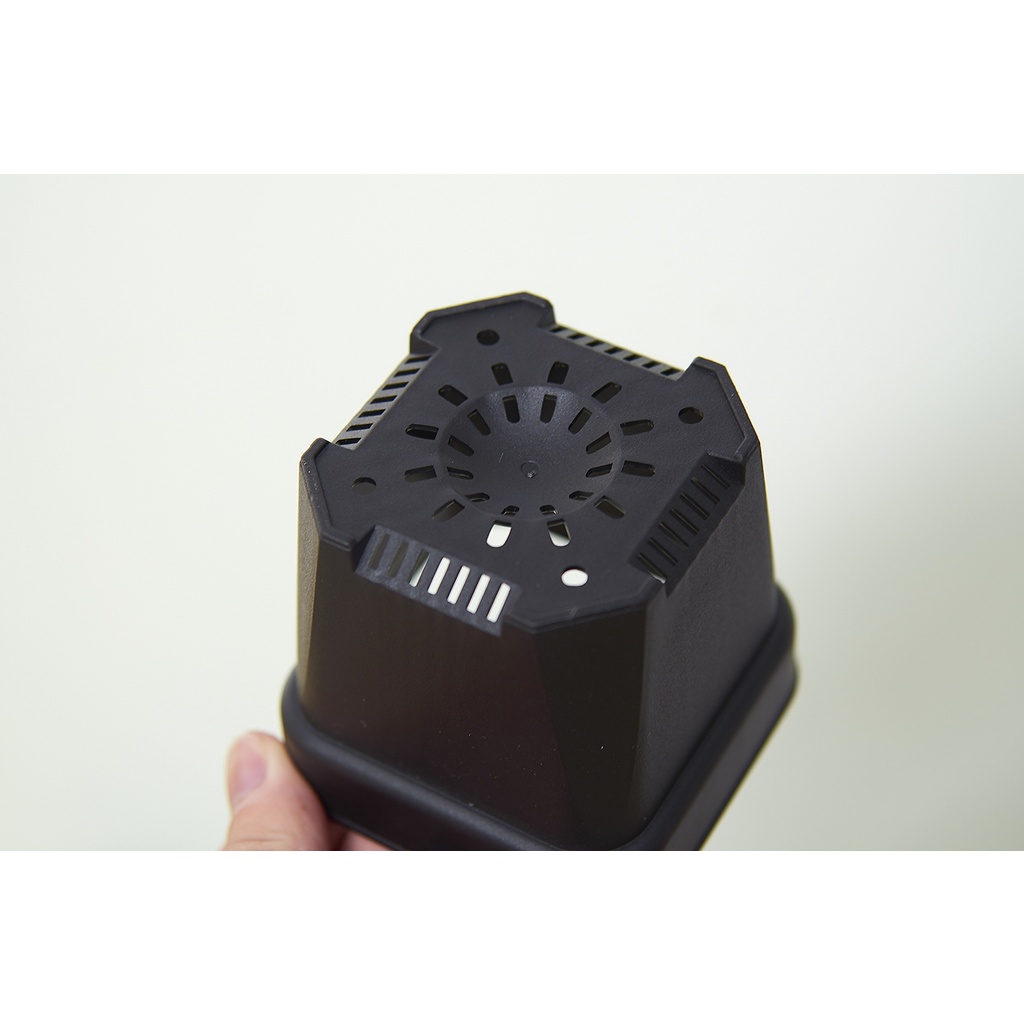 Premium Quality Square pots for Carnivorous plants, Cactus and