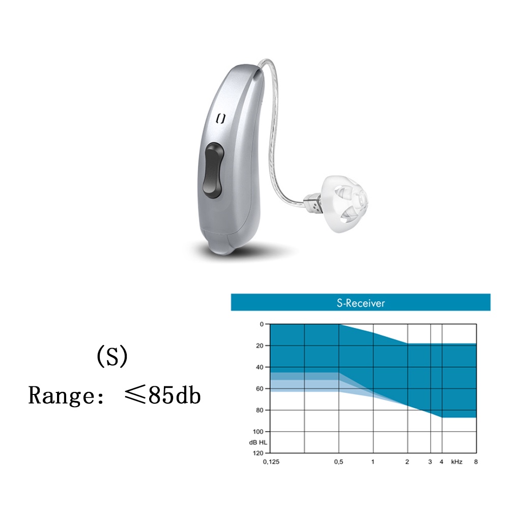 Siemens hearing aid 115 db original imported chips 16 channel Rexton