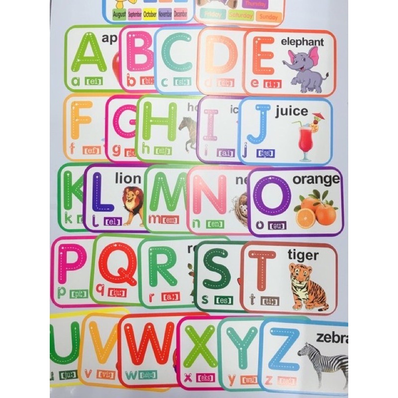 Educational Learning Flash Cards Alphabet Letters and Numbers for Kids ...