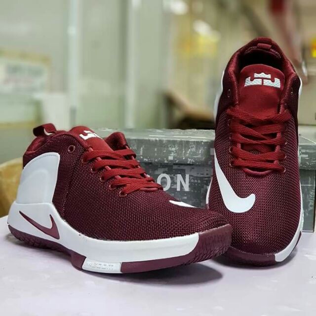 Lebron cheap nike zoom