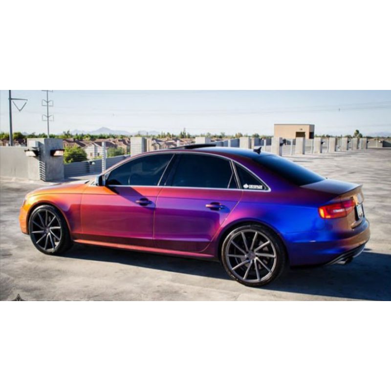 Chameleon Paint Chameleon Paint Chameleon Paint 3 Colors Chameleon