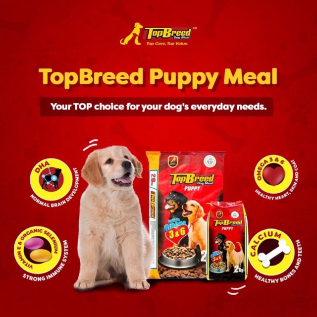 Top breed dog food hot sale protein