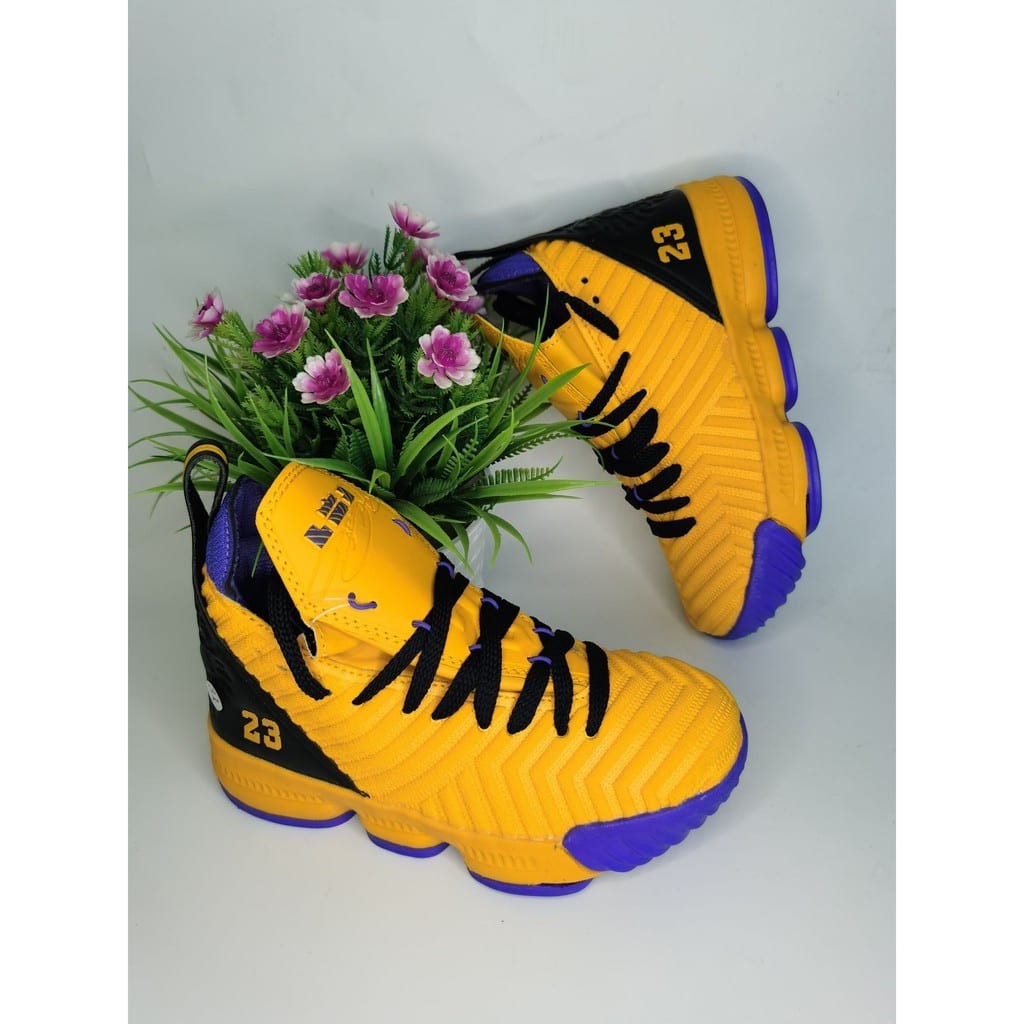 Lebron 16 hot sale shoes 219