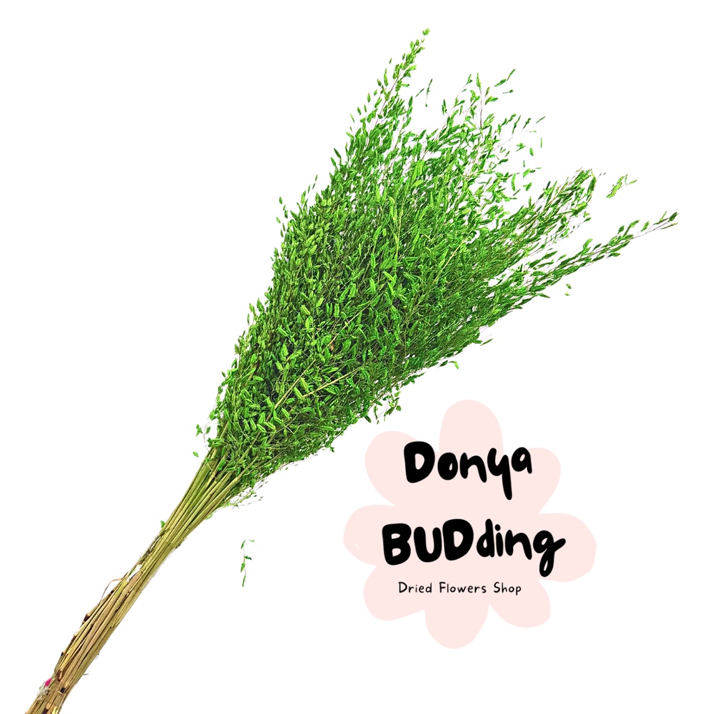 Dried Flower Dried Misty Rice (Full Bundle) | Shopee Philippines