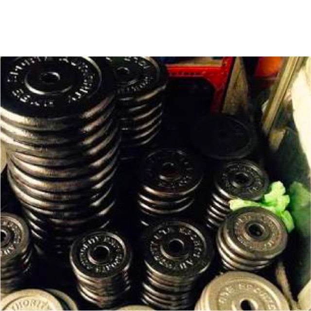 5 / 10 / 15 / 20 pounds lbs dumbbell Plate metal barbell dumbell