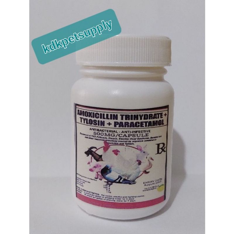 TYLOSIN ANTI BACTERIAL AMOX 500mg / 30 CAPSULES | Shopee Philippines