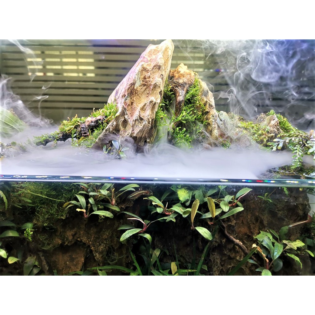 Mist Maker aquarium terrarium viviparium riparium Shopee Philippines