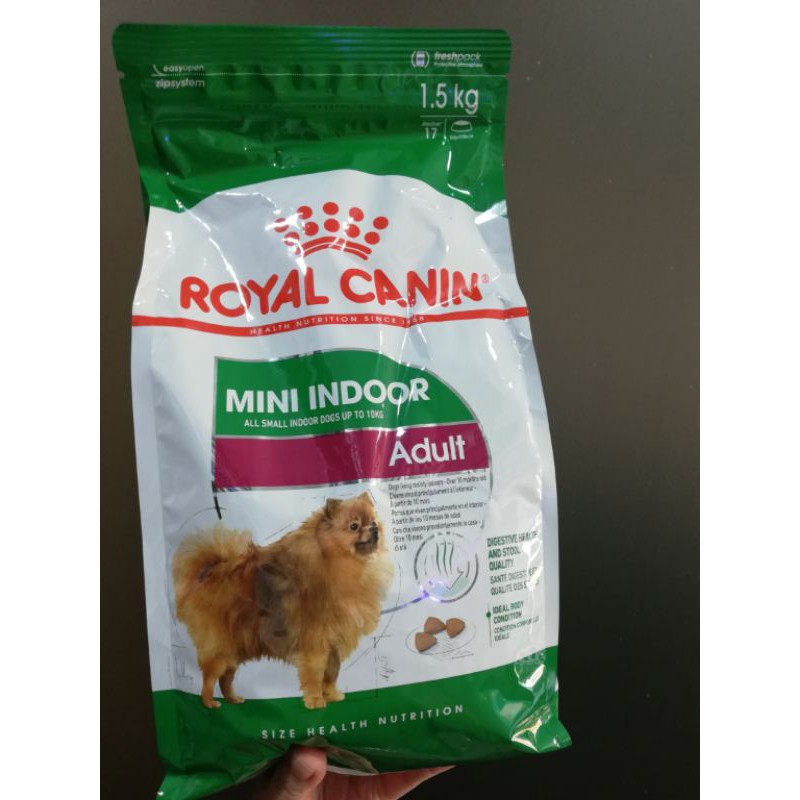 Royal canin hotsell mini indoor adult